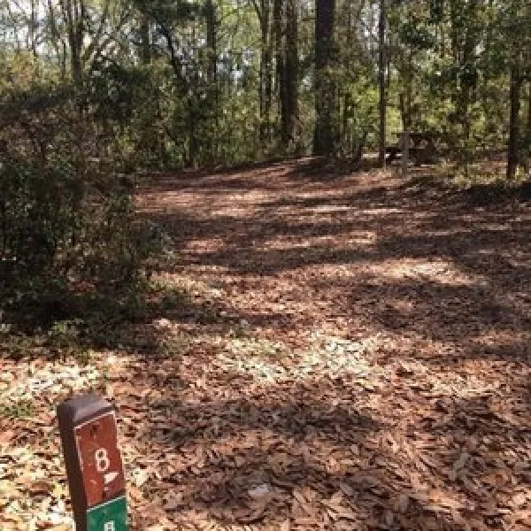 torreya-state-park-campground-bristol-o8074