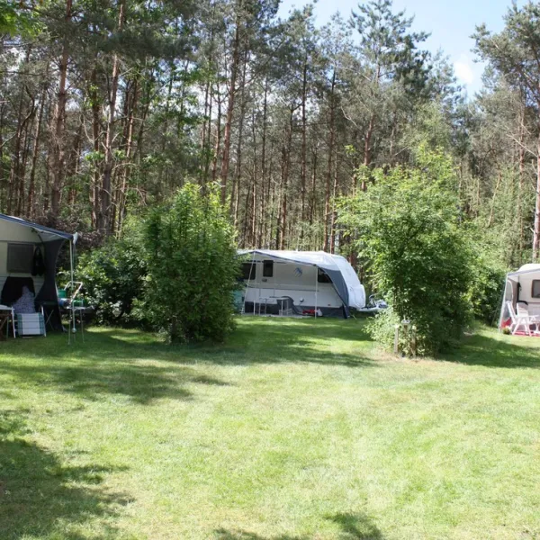 minicamping-de-moat-dalfsen-3n8fh