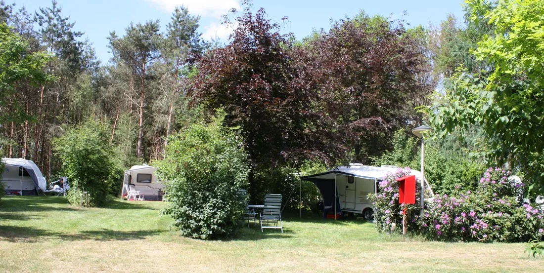 minicamping-de-moat-dalfsen-u86jq