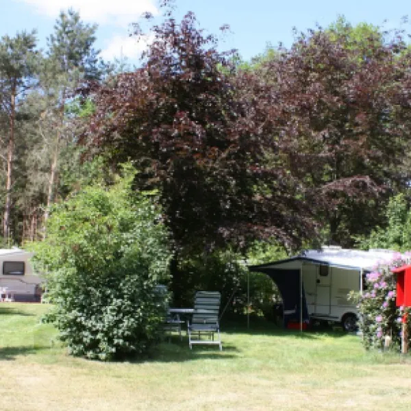 minicamping-de-moat-dalfsen-u86jq
