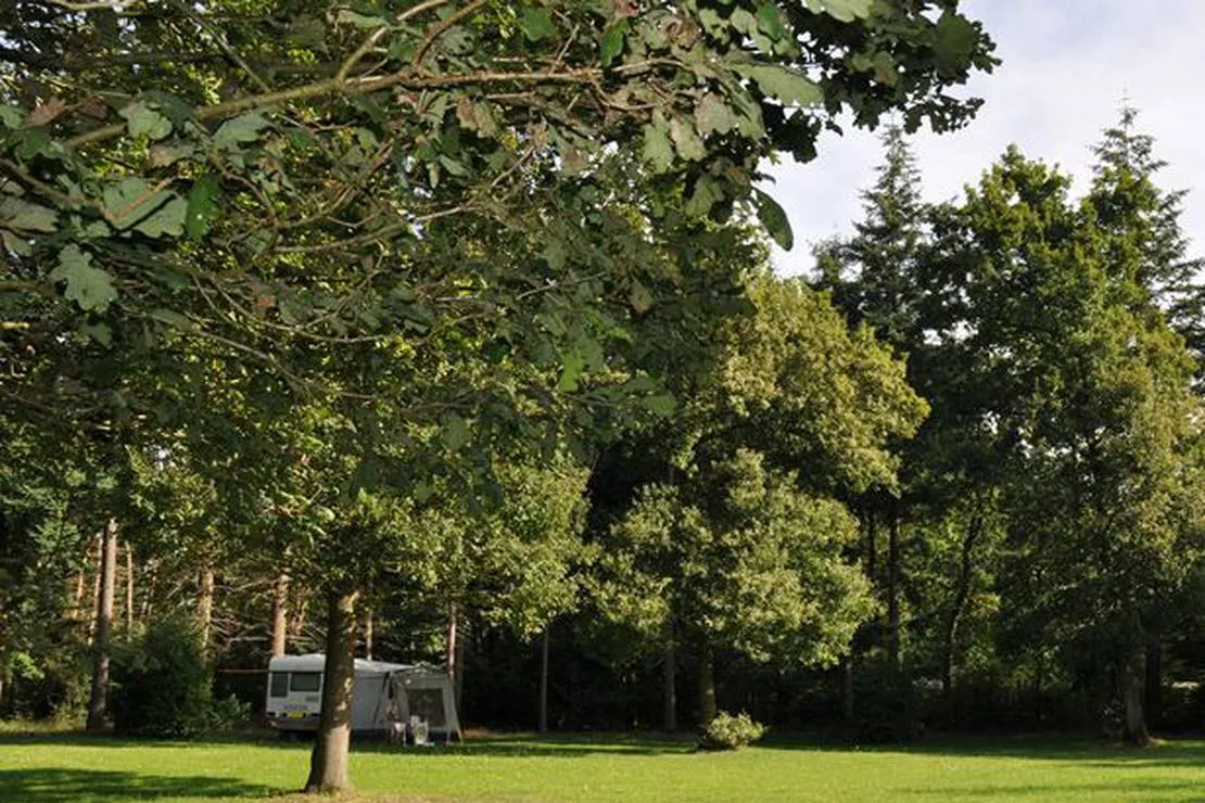 mini-camping-s-koonings-veld-arnhem-cvufp