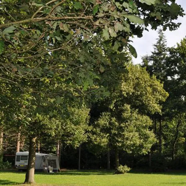 mini-camping-s-koonings-veld-arnhem-cvufp