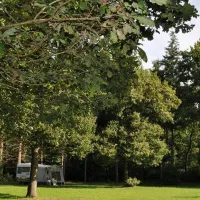 mini-camping-s-koonings-veld-arnhem-cvufp