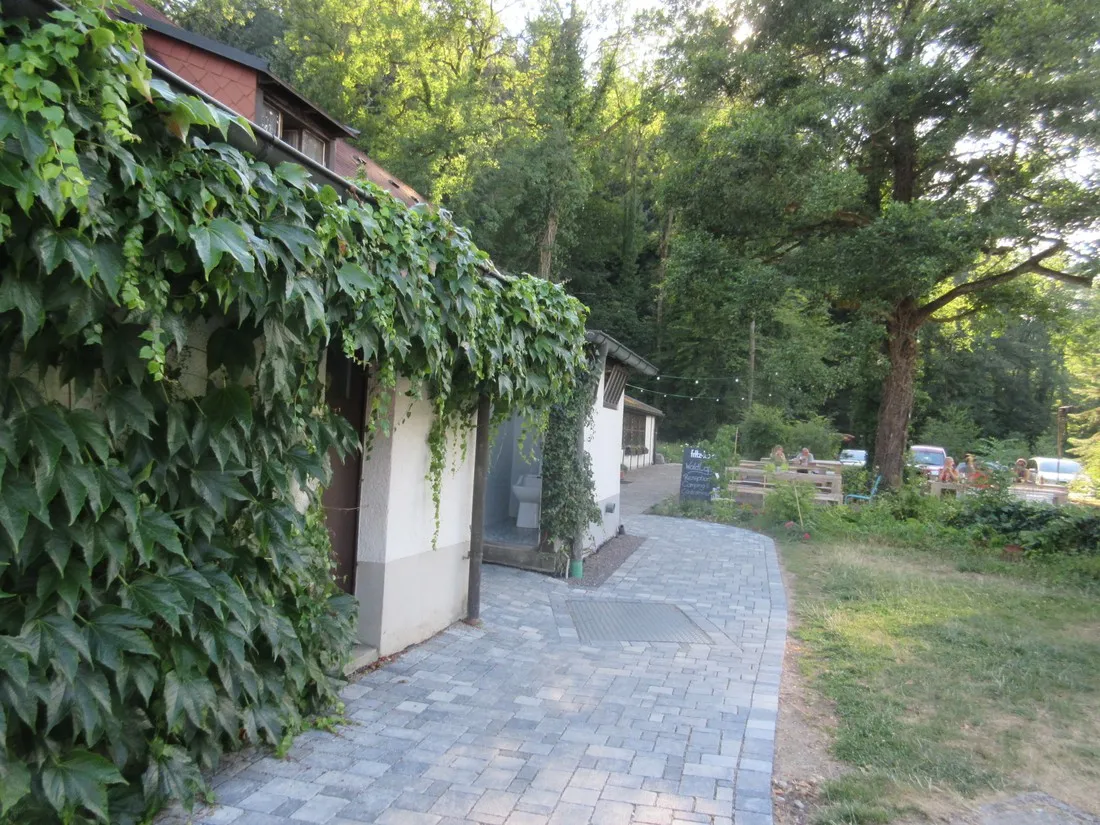 am-moslepark-freiburg-im-breisgau-crqn5
