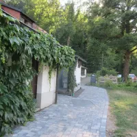 am-moslepark-freiburg-im-breisgau-crqn5
