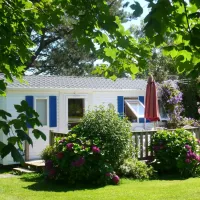 Vert de Creac'h Lann