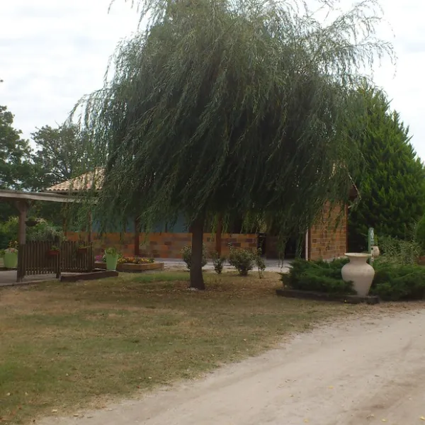 le-bonheur-est-dans-le-pre-vendays-montalivet-gironde-juesf