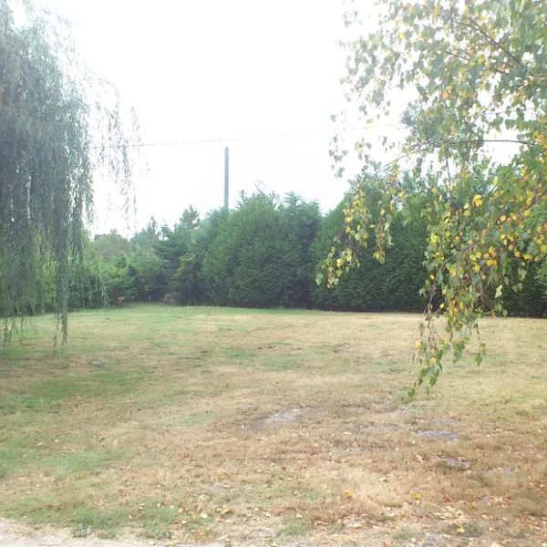 le-bonheur-est-dans-le-pre-vendays-montalivet-gironde-wsi0d