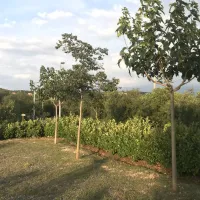 campsitecamper-stop-biokovo-croatia-zagvozd-gwvrv