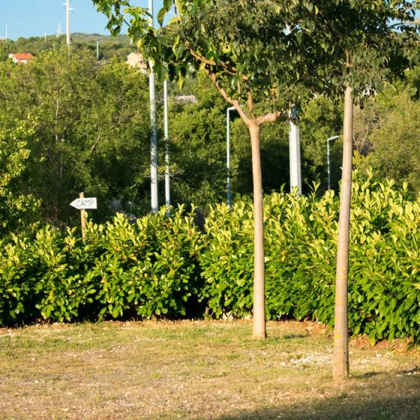 campsitecamper-stop-biokovo-croatia-zagvozd-rje0x