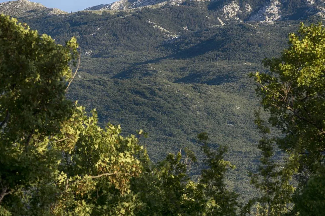 campsitecamper-stop-biokovo-croatia-zagvozd-xicdi