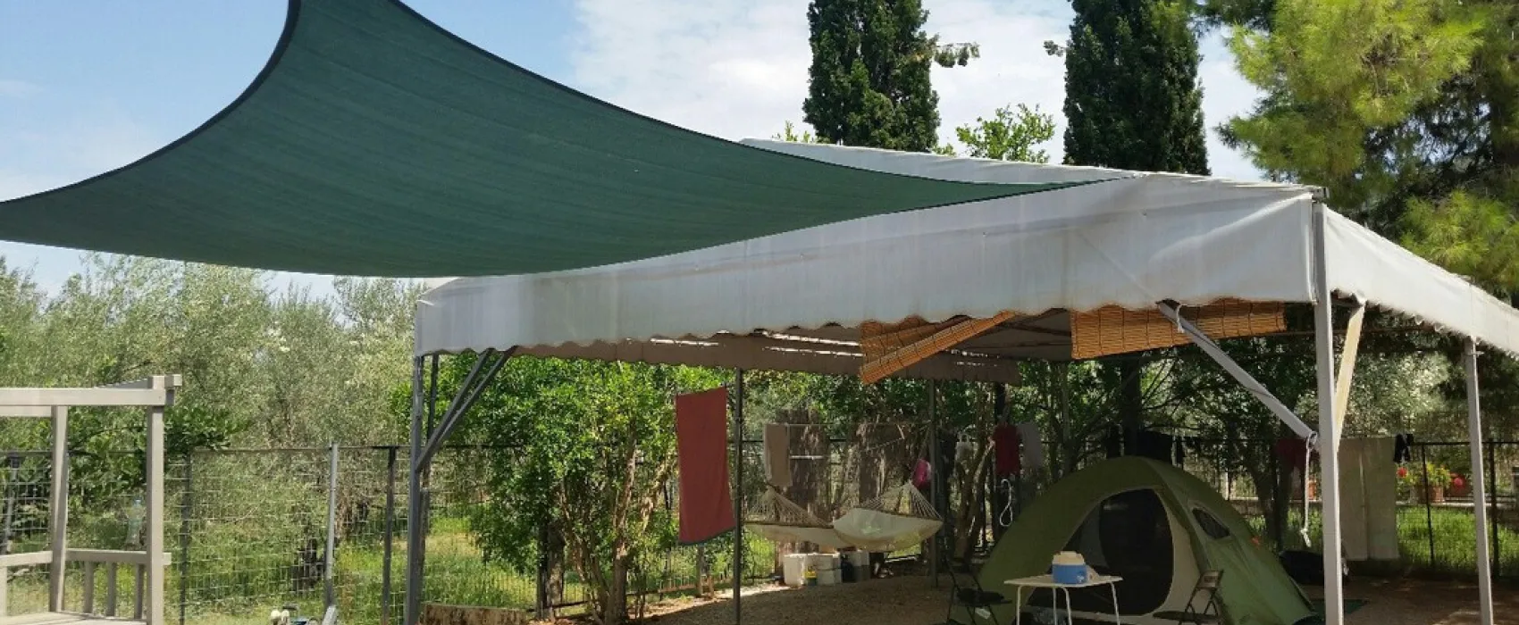 Zar&shy;itsi