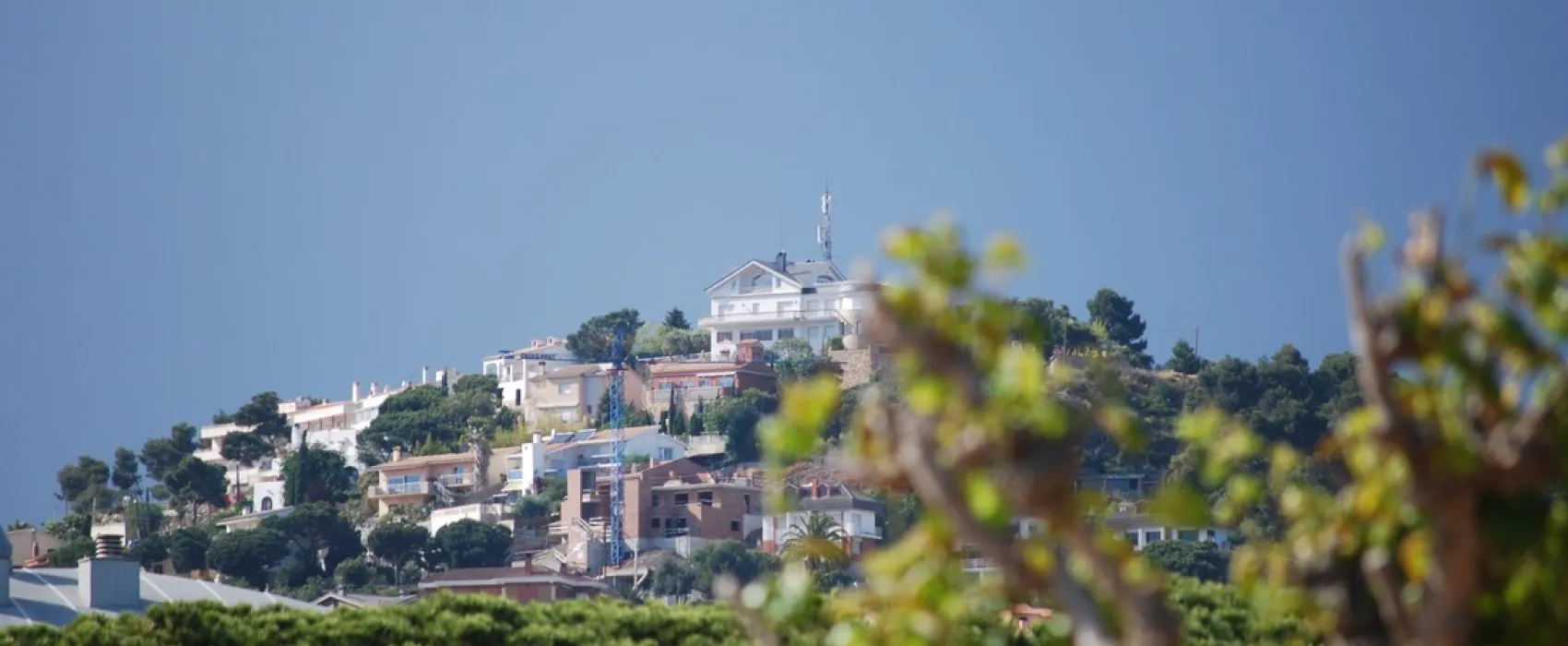 El Pinar