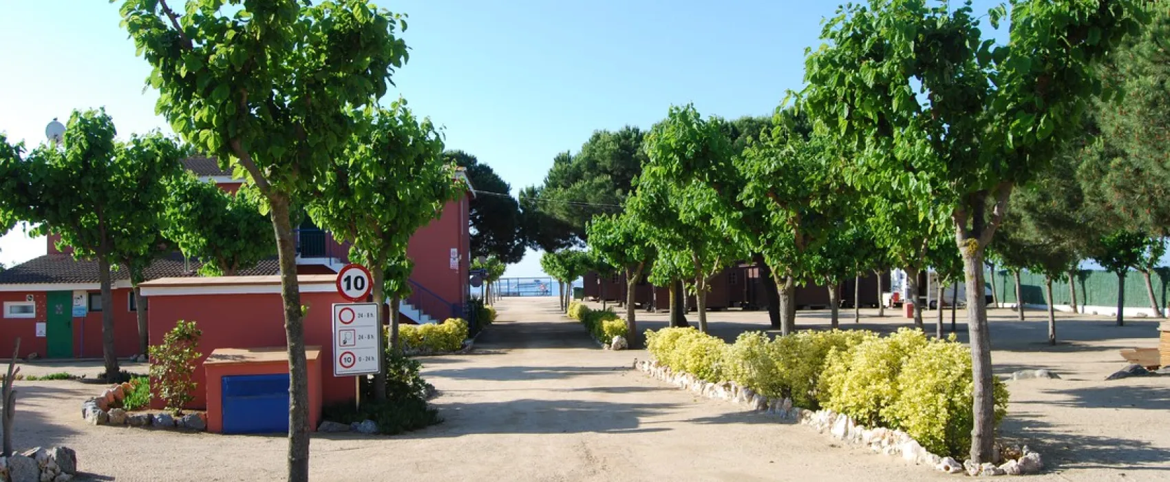 El Pinar