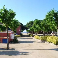 El Pinar