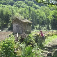 letang-champs-sur-tarentaine-marchal-nay1j