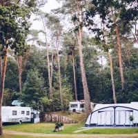 in-de-rimboe-ermelo-7muhk