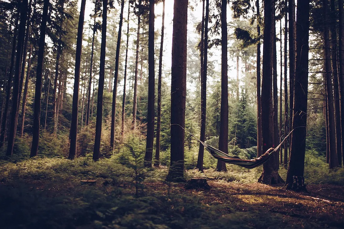 in-de-rimboe-ermelo-aayai