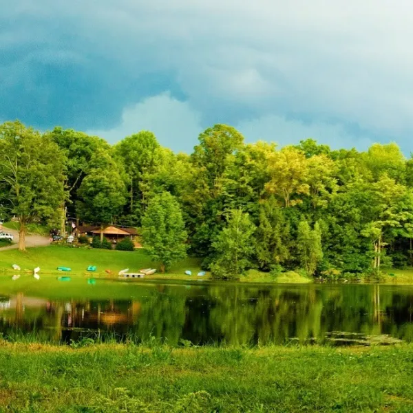 Shore Forest Campground