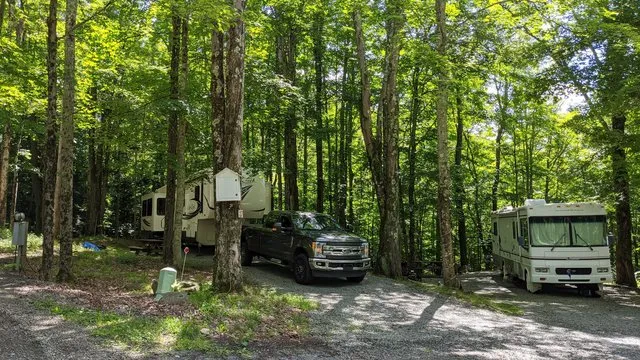 shore-forest-campground-hop-bottom-yc1tk
