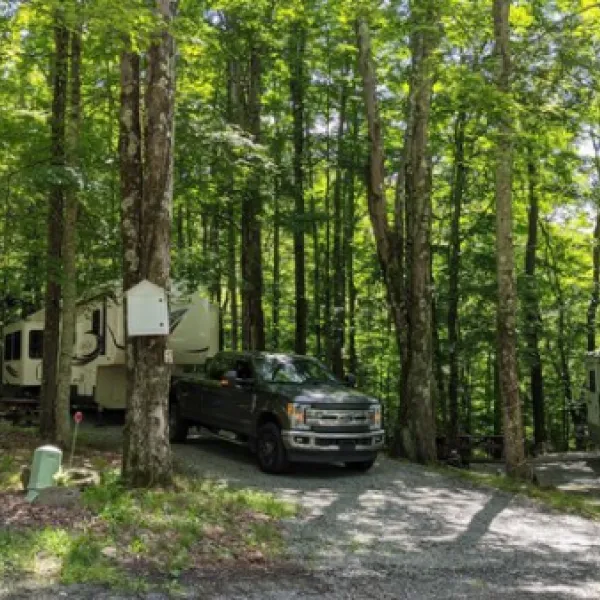 shore-forest-campground-hop-bottom-yc1tk