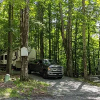 shore-forest-campground-hop-bottom-yc1tk