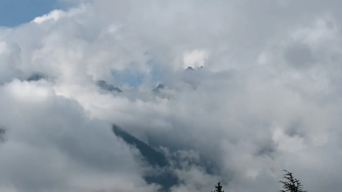 seeberger-bludenz-qppni