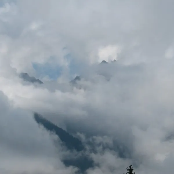 seeberger-bludenz-qppni