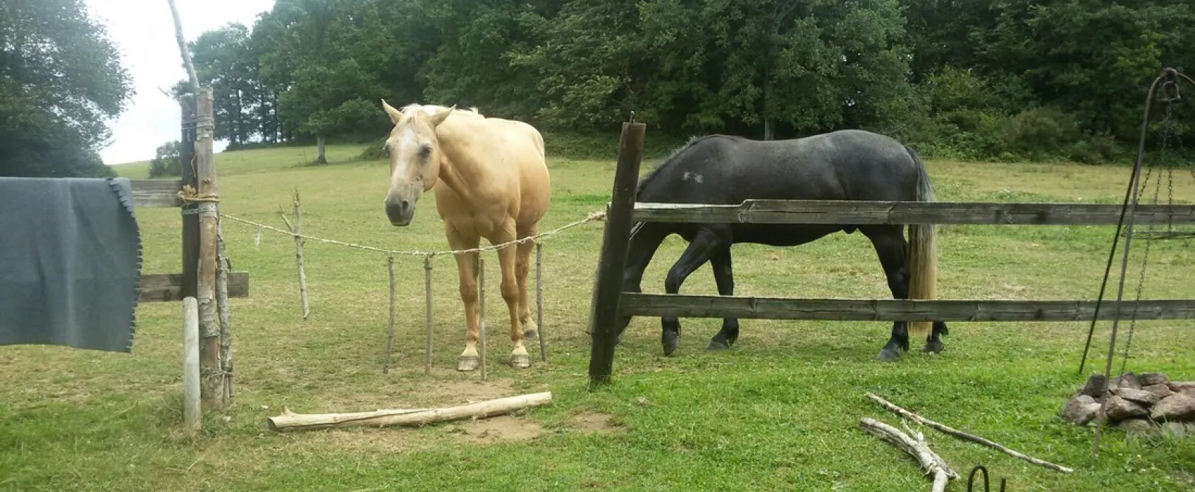 Safari-Normandie