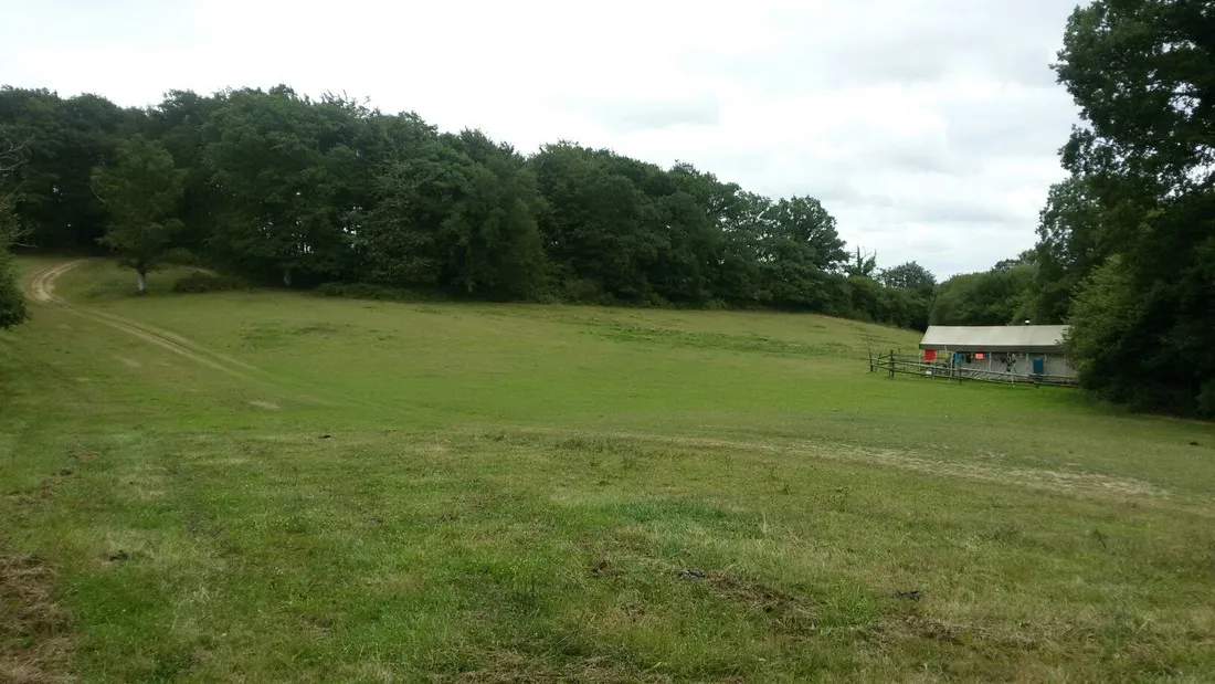 safari-normandie-la-carneille-nh3br