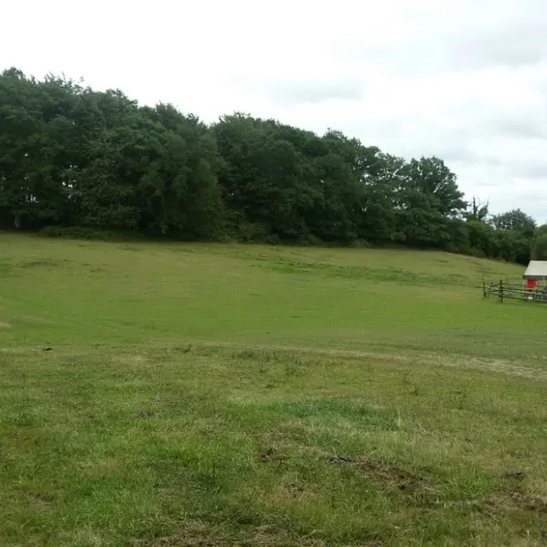 safari-normandie-la-carneille-nh3br