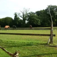 safari-normandie-la-carneille-oekc9