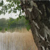 Camping Dammmühlenteich