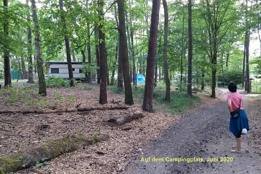 camping-dammmuhlenteich-dahlen-ot-ochsensaal-4ps0p