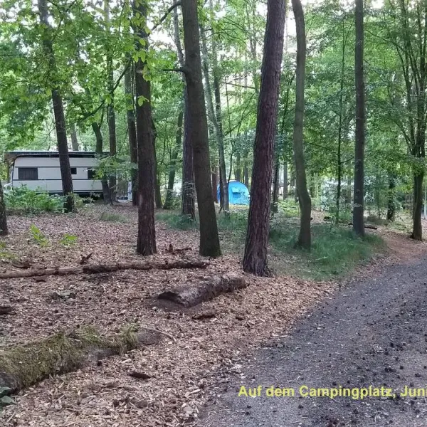 camping-dammmuhlenteich-dahlen-ot-ochsensaal-4ps0p