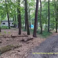 camping-dammmuhlenteich-dahlen-ot-ochsensaal-4ps0p