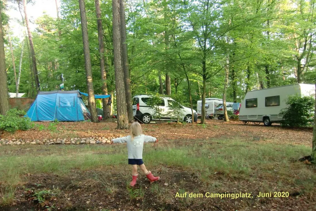 camping-dammmuhlenteich-dahlen-ot-ochsensaal-dwk4l