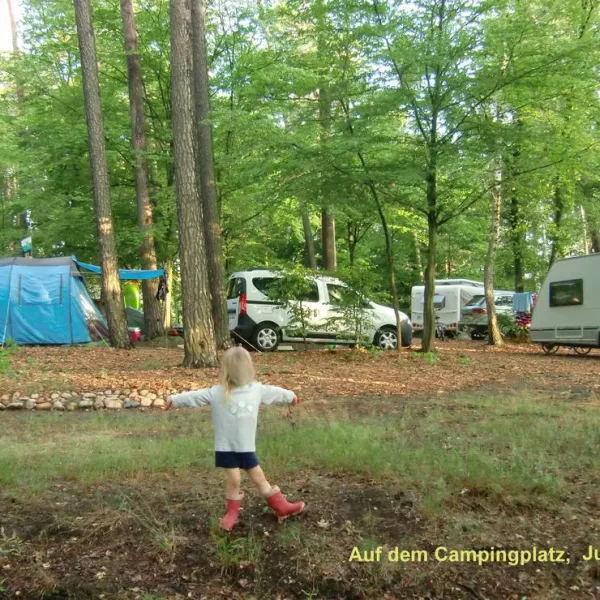 camping-dammmuhlenteich-dahlen-ot-ochsensaal-dwk4l
