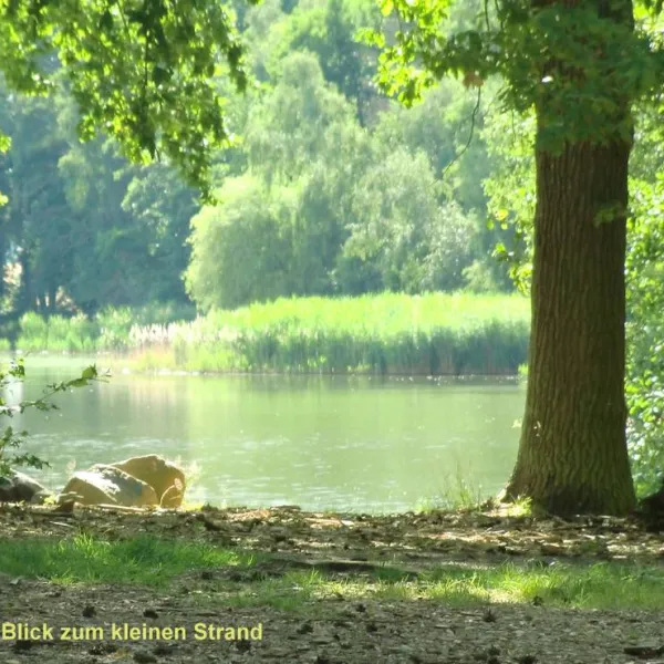 camping-dammmuhlenteich-dahlen-ot-ochsensaal-sokti