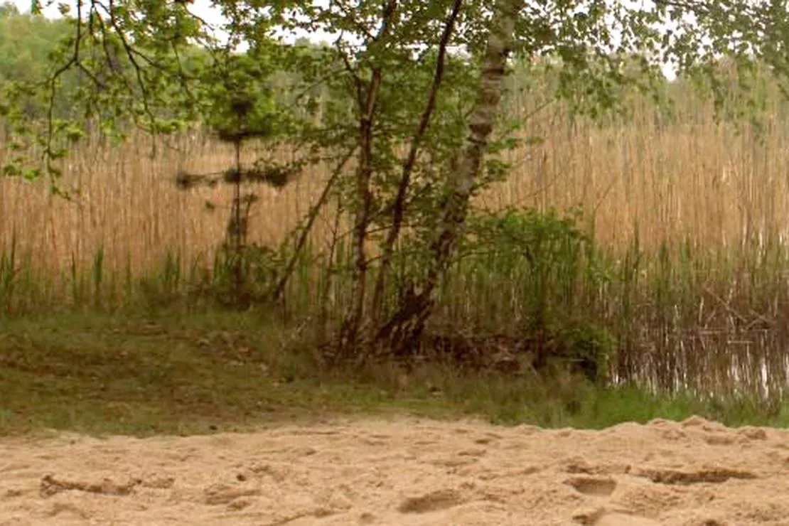 camping-dammmuhlenteich-dahlen-ot-ochsensaal-ucwut