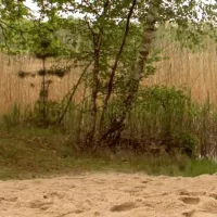 camping-dammmuhlenteich-dahlen-ot-ochsensaal-ucwut