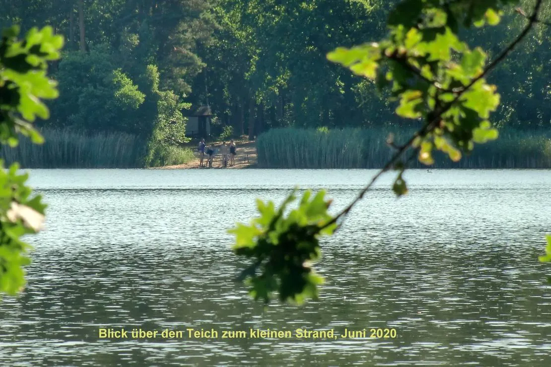 camping-dammmuhlenteich-dahlen-ot-ochsensaal-wius9