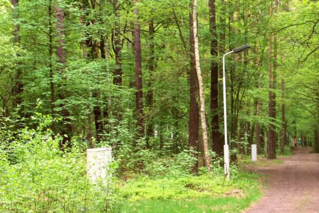 camping-dammmuhlenteich-dahlen-ot-ochsensaal-ycuxm