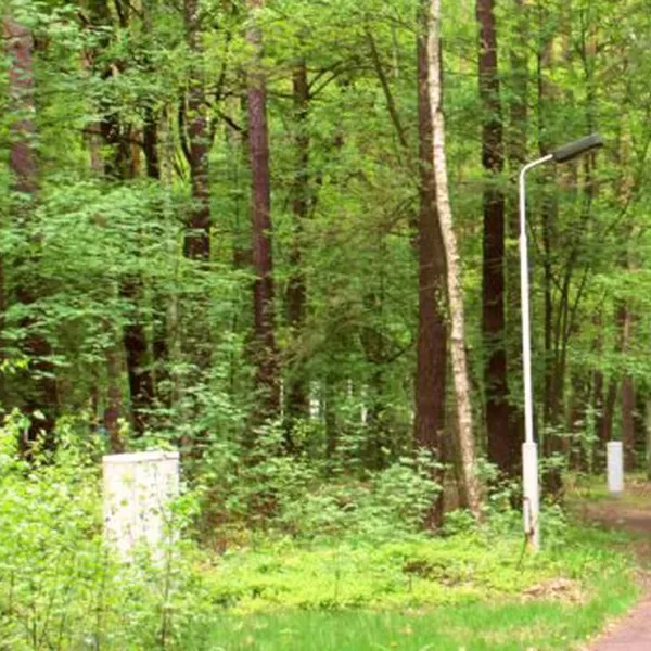 camping-dammmuhlenteich-dahlen-ot-ochsensaal-ycuxm