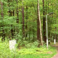 camping-dammmuhlenteich-dahlen-ot-ochsensaal-ycuxm