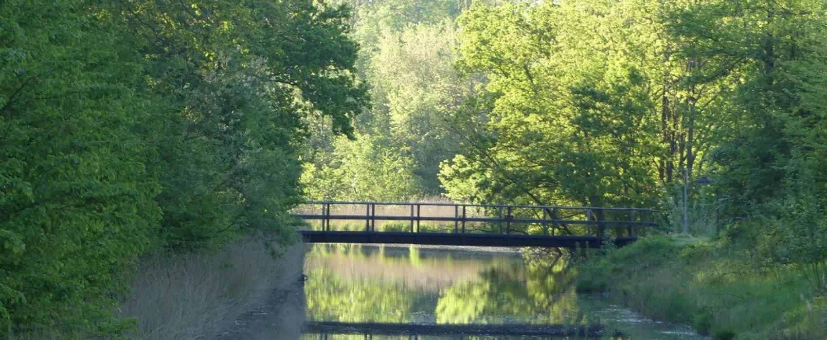 Haflingerhof de Heksenketel Minicamping / Vakantiewoningen
