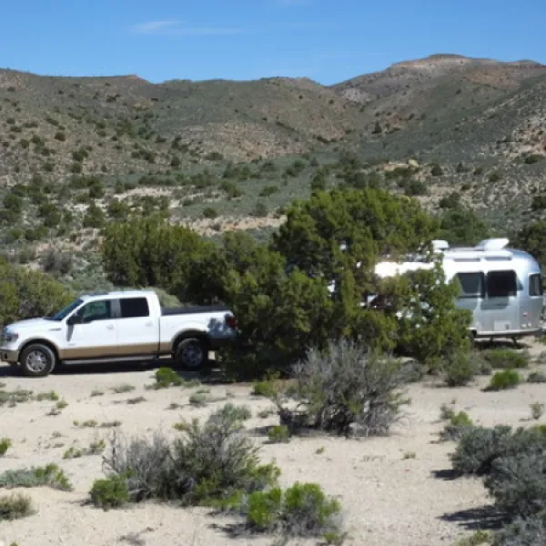 horneys-rest-stop-alamo-f3vbt