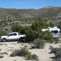 horneys-rest-stop-alamo-f3vbt
