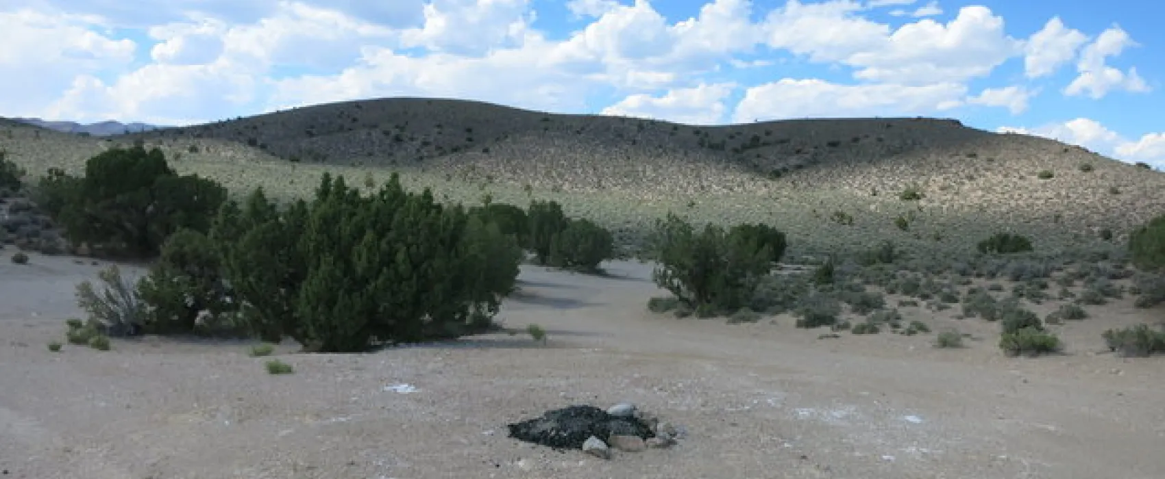 Horney's Rest Stop