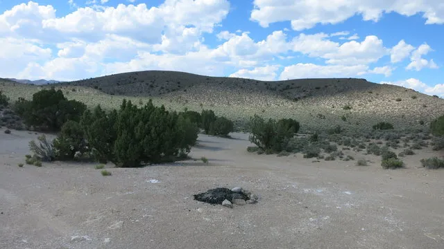 horneys-rest-stop-alamo-ufrx5